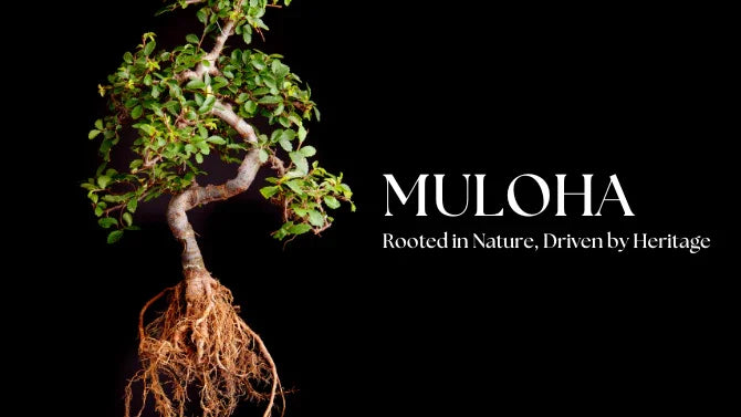 MULOHA Rooted in Nature, Driven by Heritage