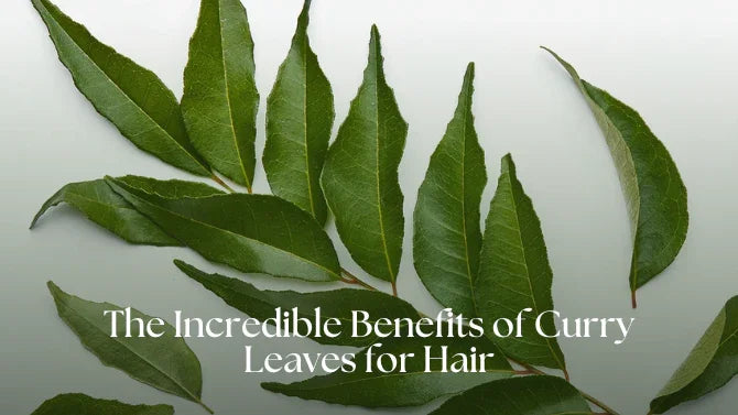 The Incredible Benefits of Curry Leaves for Hair